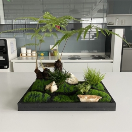  产品展示 (7)