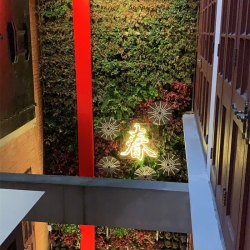 酒庄植物墙