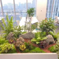 中粮海景1号